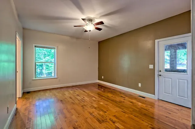 a view of a backyard with plants and large trees
