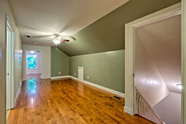 a view of a yard with plants and large trees