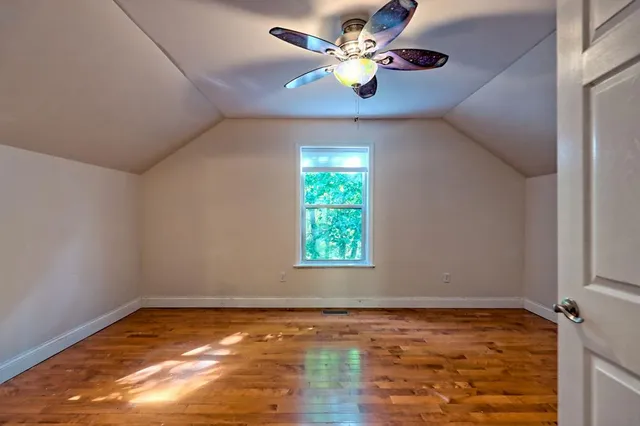 a view of a big yard with plants and large trees