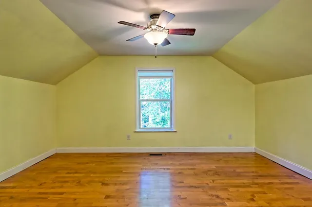 a view of a lush green forest with a mountain in the background