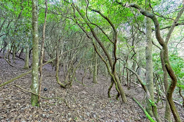 $760,000 | 127 Hard Rock Hill, Blairsville, GA 30512