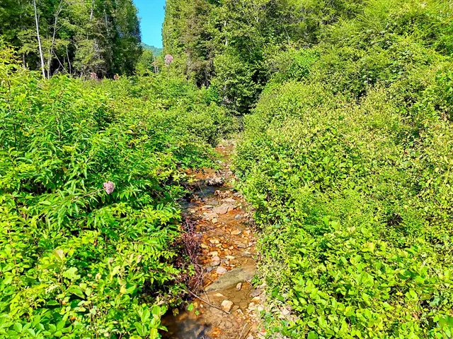 $760,000 | 127 Hard Rock Hill, Blairsville, GA 30512