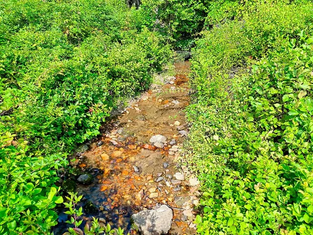 $760,000 | 127 Hard Rock Hill, Blairsville, GA 30512