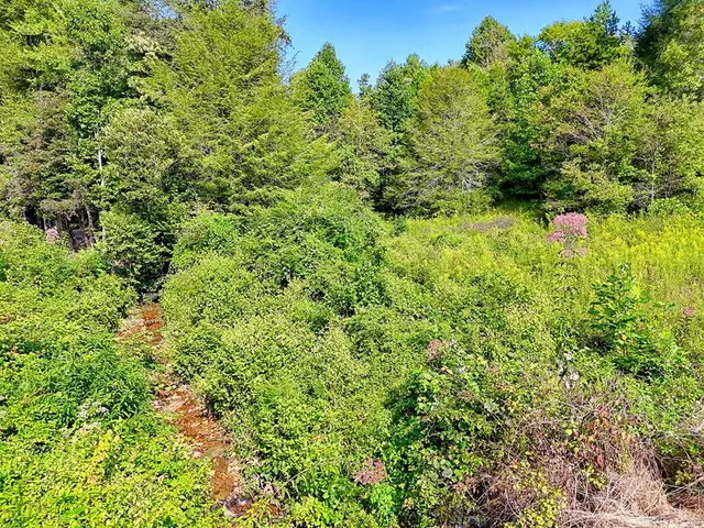 $760,000 | 127 Hard Rock Hill, Blairsville, GA 30512