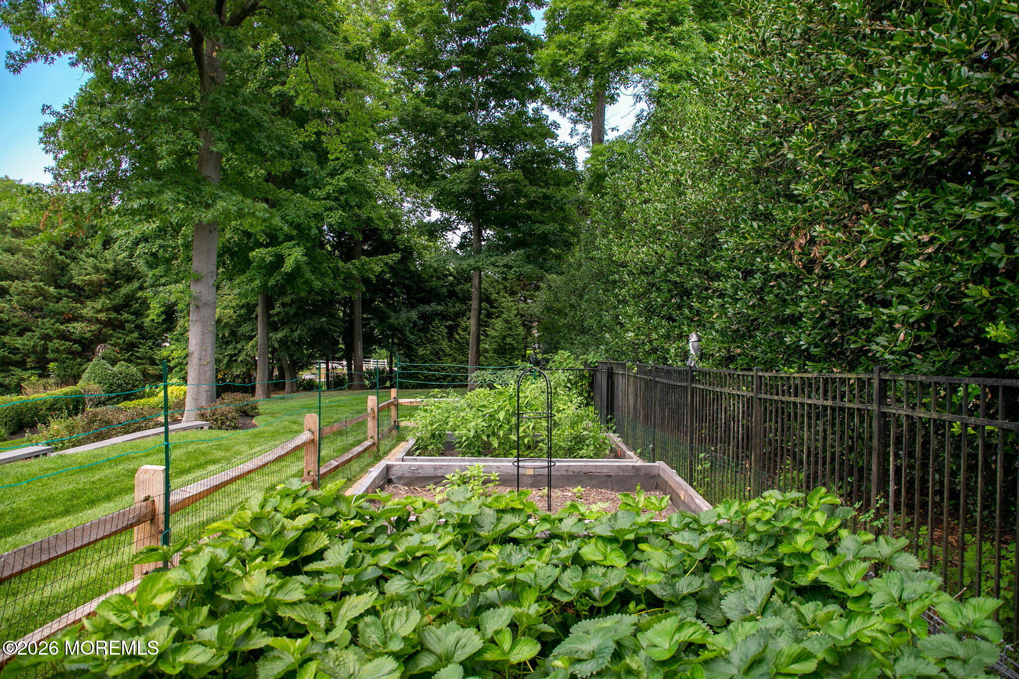 7 North Rohallion Drive Rumson, NJ 07760 - Photo 17 of 18 2-web-or-mls-4M3A1775 - Copy