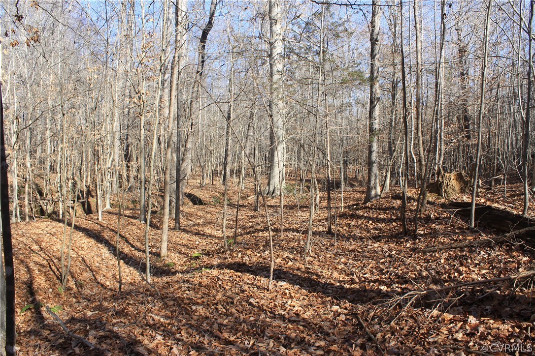 835 Clement Town Road Powhatan, VA 23139 - Photo 12 of 44 Gallery Image 12