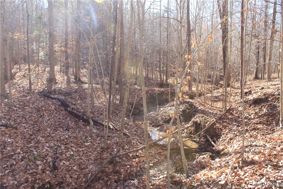 835 Clement Town Road Powhatan, VA 23139 - Photo 14 of 44 Gallery Image 14