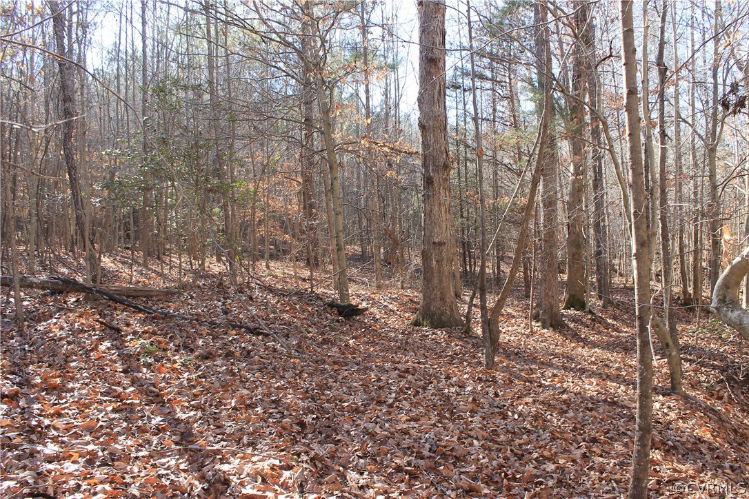 835 Clement Town Road Powhatan, VA 23139 - Photo 16 of 44 Gallery Image 16