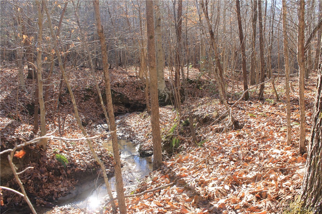 835 Clement Town Road Powhatan, VA 23139 - Photo 20 of 44 Gallery Image 20