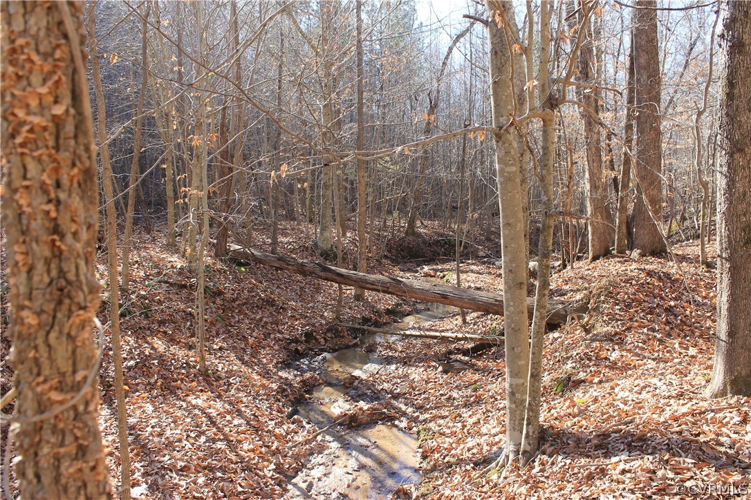 835 Clement Town Road Powhatan, VA 23139 - Photo 21 of 44 Gallery Image 21
