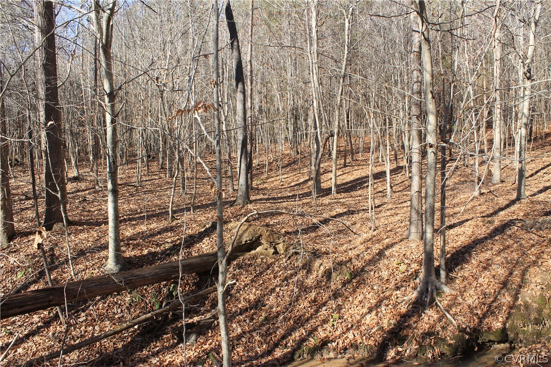 835 Clement Town Road Powhatan, VA 23139 - Photo 25 of 44 Gallery Image 25