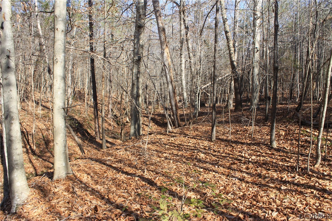 835 Clement Town Road Powhatan, VA 23139 - Photo 26 of 44 Gallery Image 26