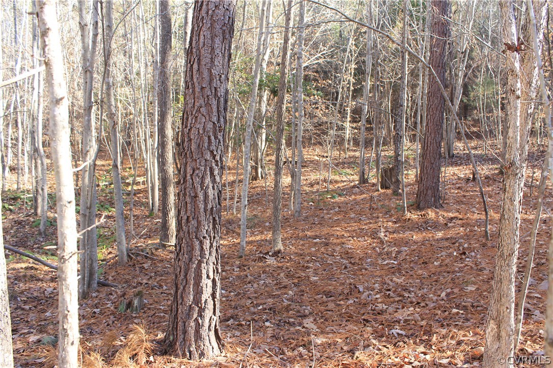 835 Clement Town Road Powhatan, VA 23139 - Photo 27 of 44 Gallery Image 27