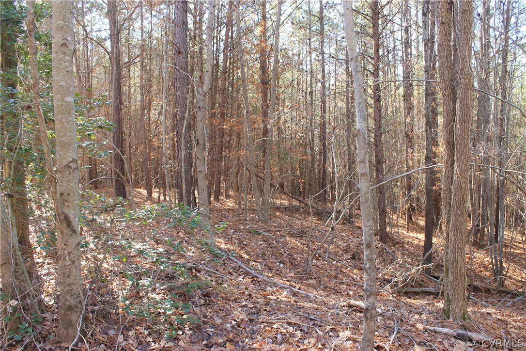 835 Clement Town Road Powhatan, VA 23139 - Photo 31 of 44 Gallery Image 31