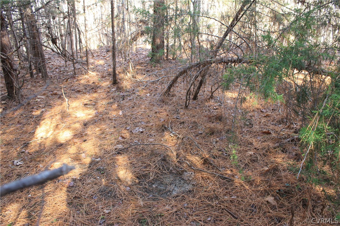 835 Clement Town Road Powhatan, VA 23139 - Photo 33 of 44 Gallery Image 33