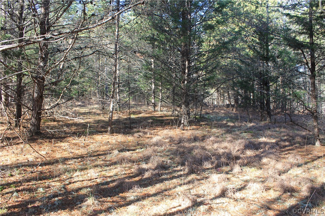 835 Clement Town Road Powhatan, VA 23139 - Photo 39 of 44 Gallery Image 39