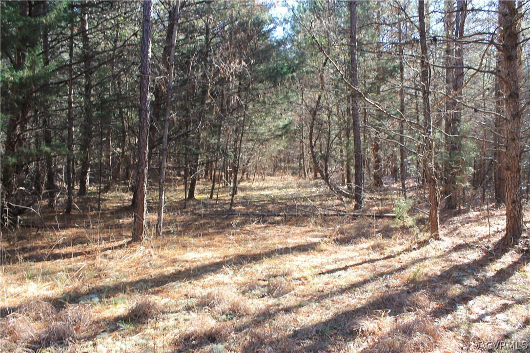 835 Clement Town Road Powhatan, VA 23139 - Photo 41 of 44 Gallery Image 41