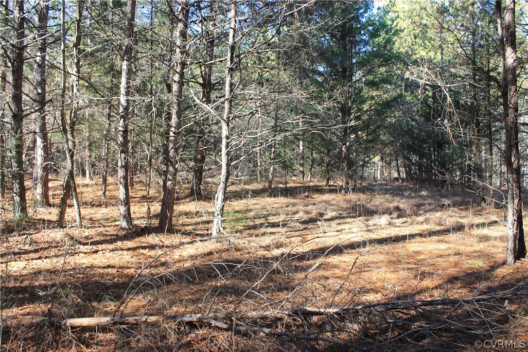 835 Clement Town Road Powhatan, VA 23139 - Photo 42 of 44 Gallery Image 42