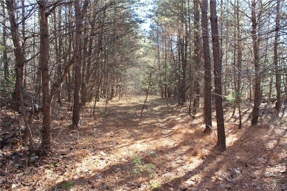835 Clement Town Road Powhatan, VA 23139 - Photo 43 of 44 Gallery Image 43