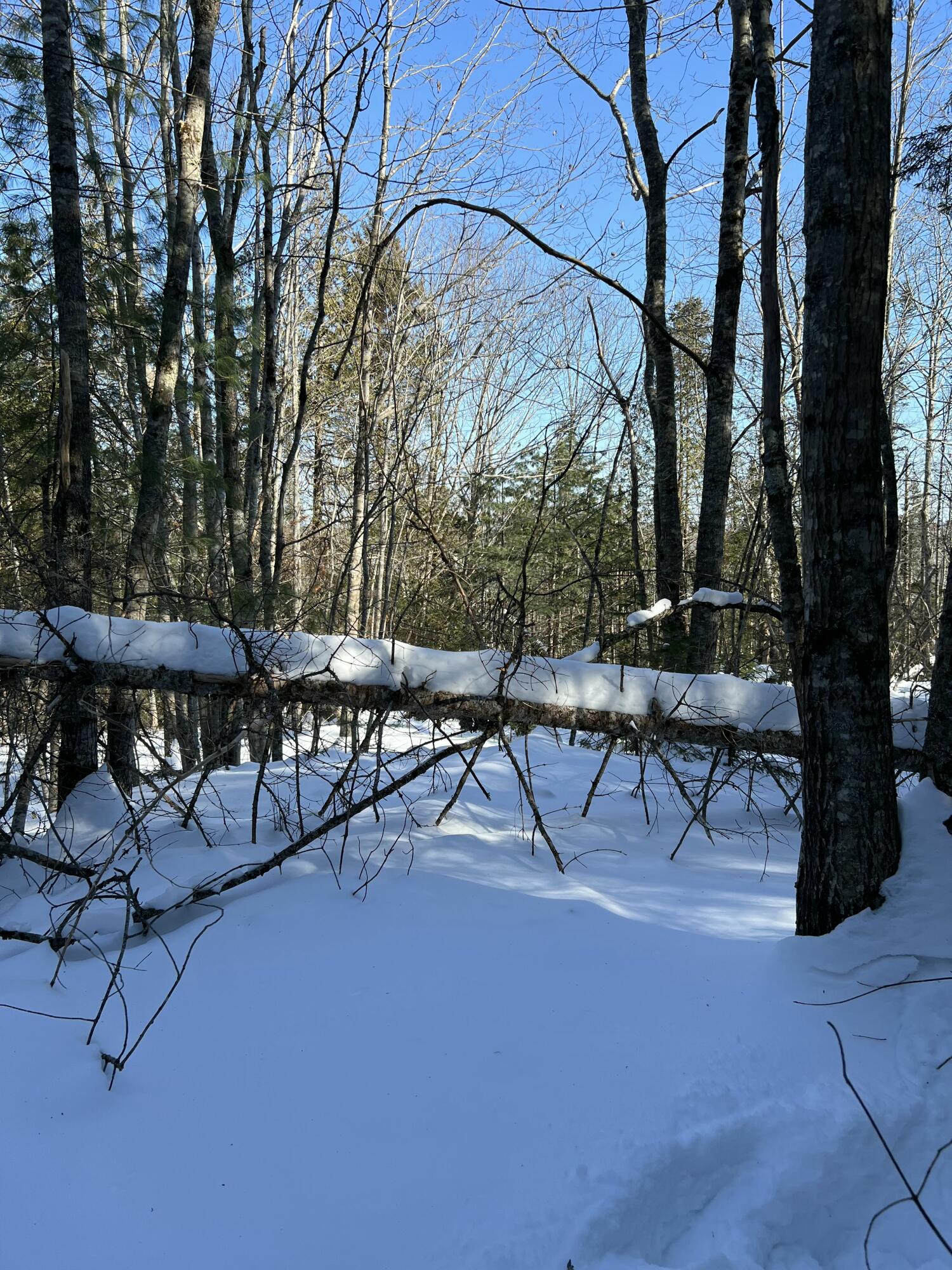 73 Ferry Road Stockton Springs, ME 04981 - Photo 12 of 14 Lot