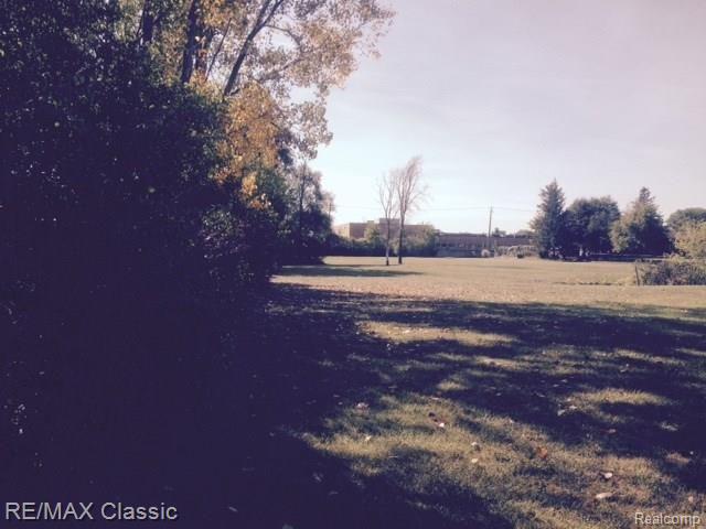 895 Minnesota Road Troy, MI 48083 - Photo 9 of 9 Backside of lot.jpg