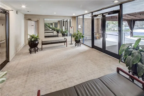 a hallway with a potted plant on the wall and a large window