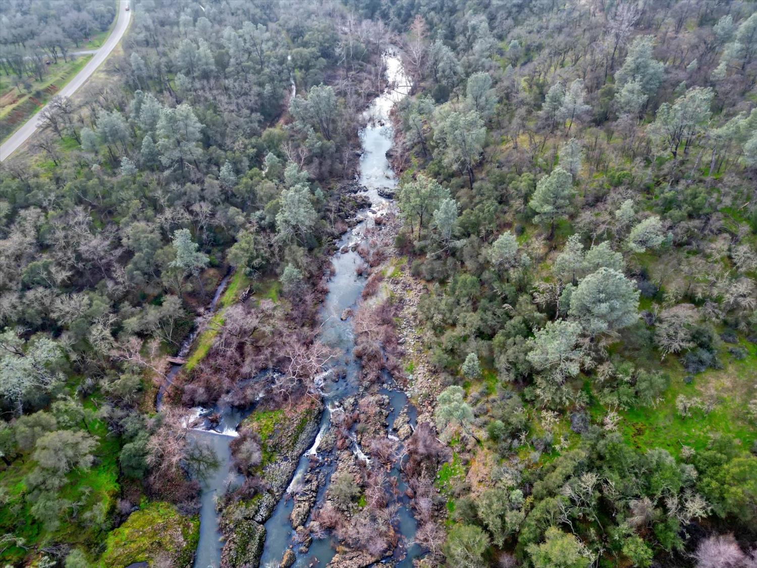 0 Scott Forbes Road Browns Valley, CA 95918 - Photo 11 of 78 a view of a forest with a tree