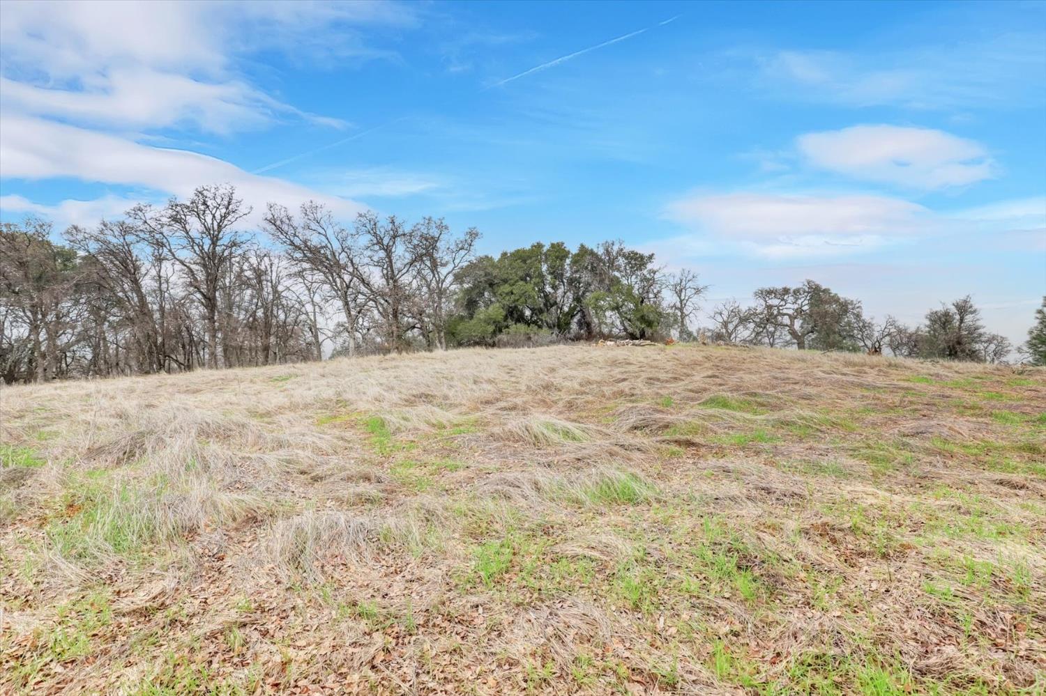 0 Scott Forbes Road Browns Valley, CA 95918 - Photo 13 of 78