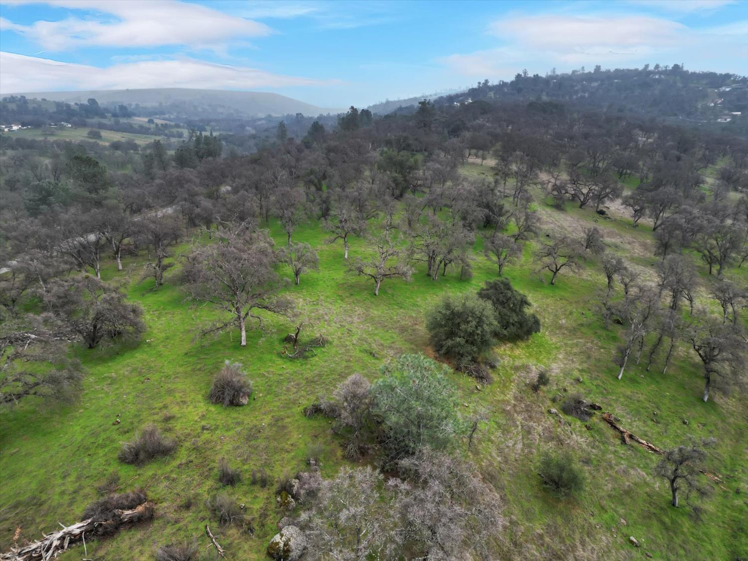 0 Scott Forbes Road Browns Valley, CA 95918 - Photo 14 of 78 a view of a green field with lots of bushes