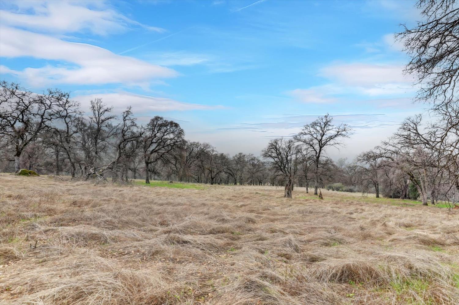 0 Scott Forbes Road Browns Valley, CA 95918 - Photo 15 of 78 a view of dirt field