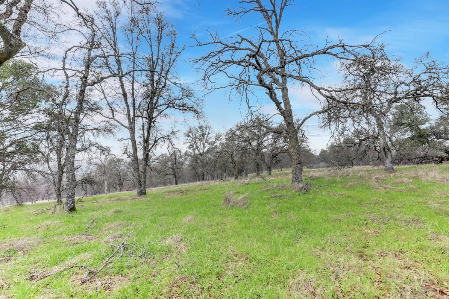 0 Scott Forbes Road Browns Valley, CA 95918 - Photo 16 of 78