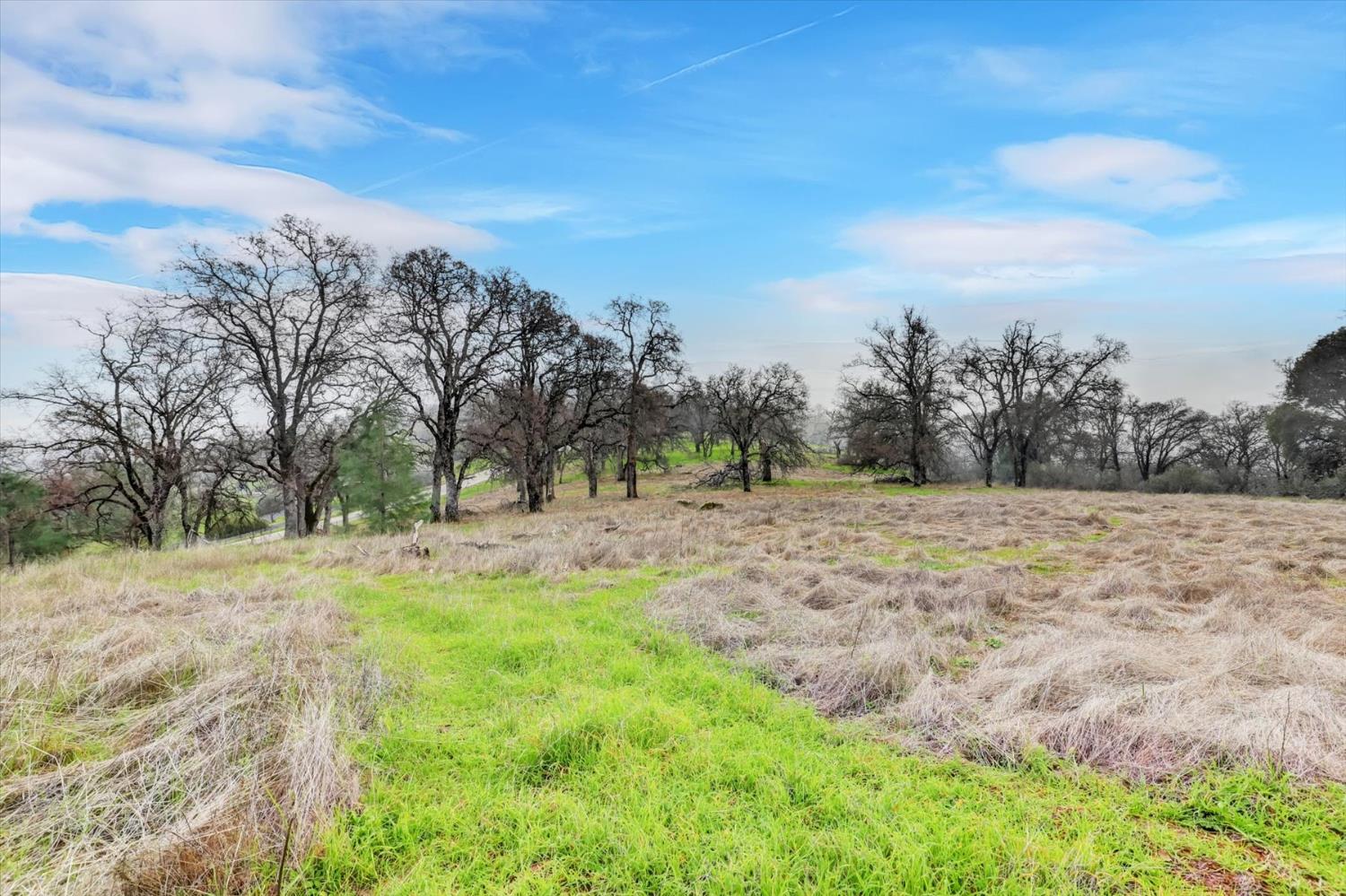 0 Scott Forbes Road Browns Valley, CA 95918 - Photo 17 of 78 a view of dirt field with trees in the background