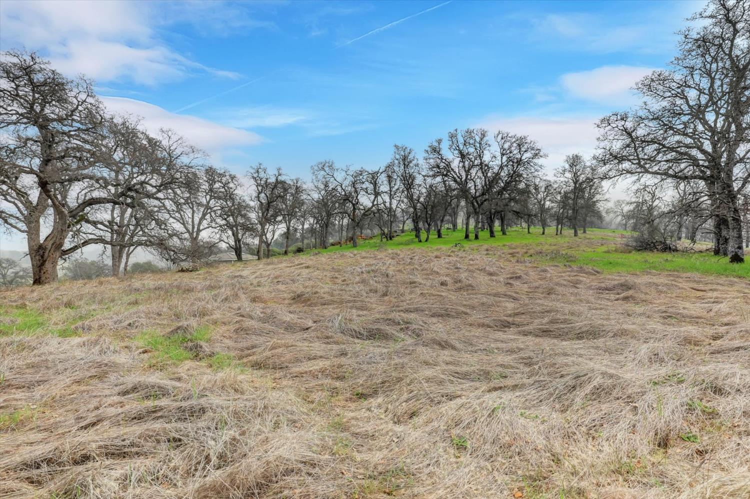 0 Scott Forbes Road Browns Valley, CA 95918 - Photo 18 of 78 a view of a yard with a tree