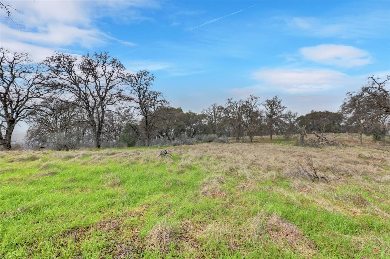 0 Scott Forbes Road Browns Valley, CA 95918 - Photo 19 of 78 a view of a field of grass and trees
