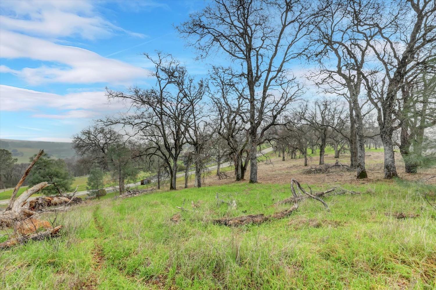 0 Scott Forbes Road Browns Valley, CA 95918 - Photo 20 of 78 a view of a yard with large trees