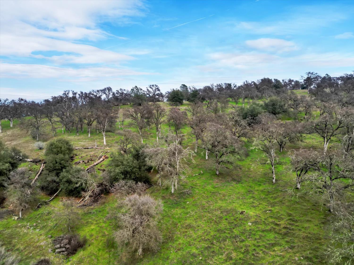 0 Scott Forbes Road Browns Valley, CA 95918 - Photo 21 of 78