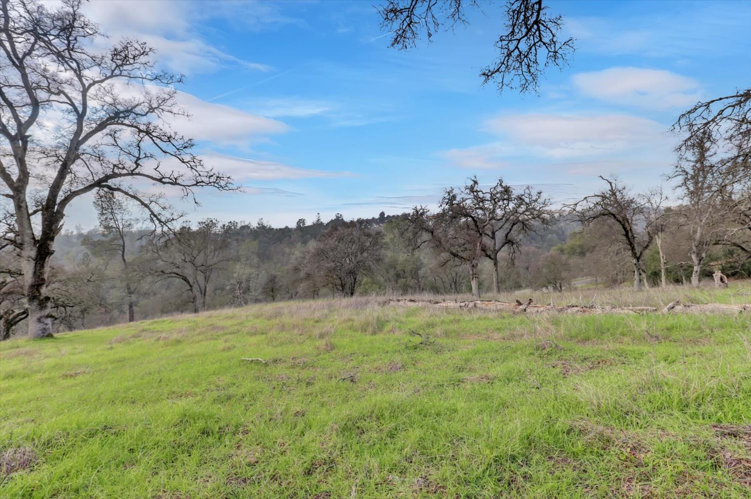 0 Scott Forbes Road Browns Valley, CA 95918 - Photo 22 of 78 a view of outdoor space with trees all around