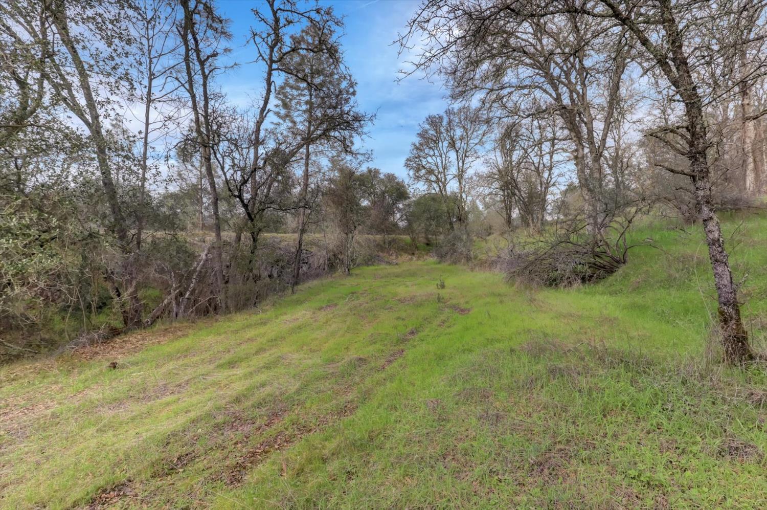 0 Scott Forbes Road Browns Valley, CA 95918 - Photo 23 of 78 a big yard with lots of green space and plants
