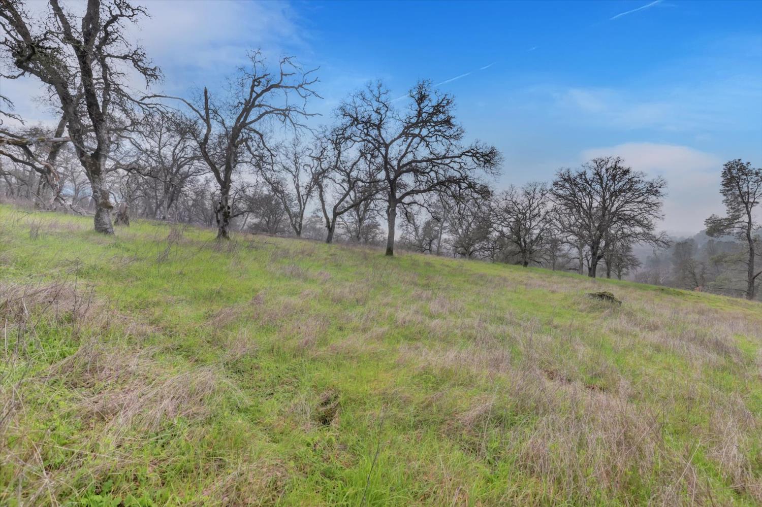 0 Scott Forbes Road Browns Valley, CA 95918 - Photo 24 of 78