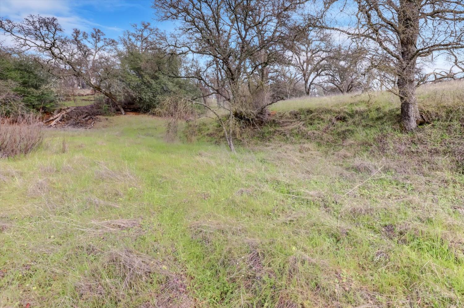 0 Scott Forbes Road Browns Valley, CA 95918 - Photo 26 of 78 a view of a yard with trees