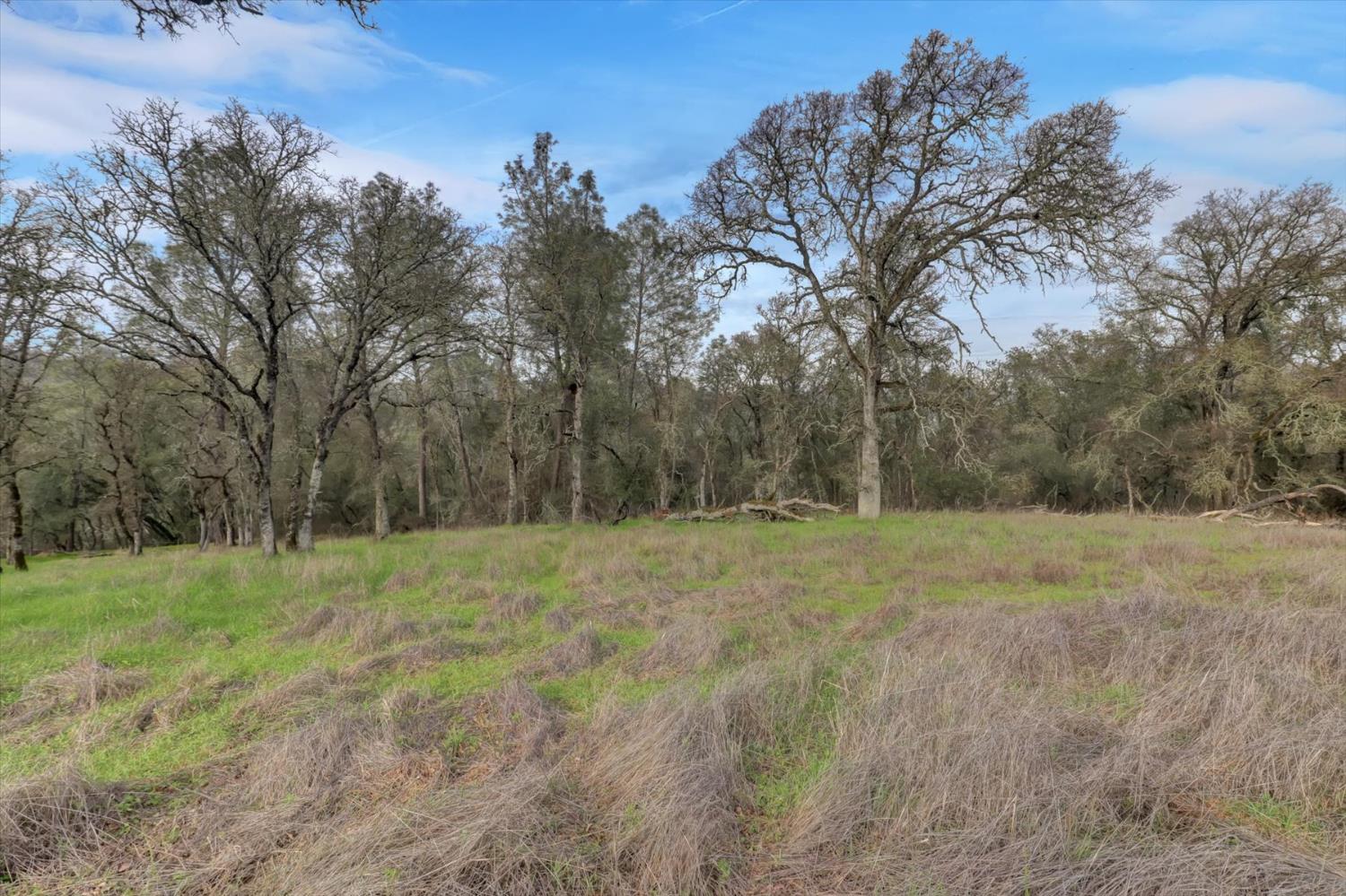 0 Scott Forbes Road Browns Valley, CA 95918 - Photo 28 of 78 a view of outdoor space and yard