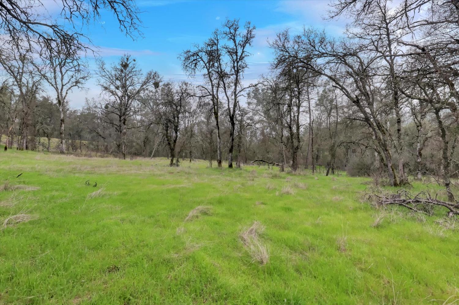 0 Scott Forbes Road Browns Valley, CA 95918 - Photo 29 of 78 a view of outdoor space with trees all around