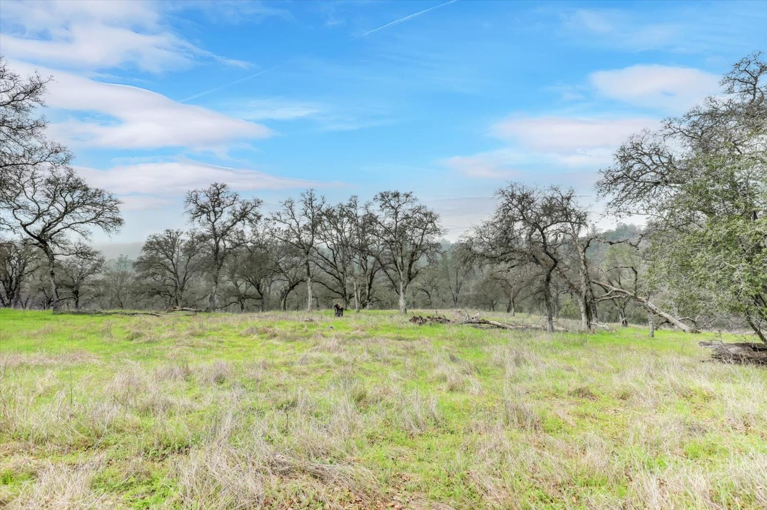 0 Scott Forbes Road Browns Valley, CA 95918 - Photo 30 of 78