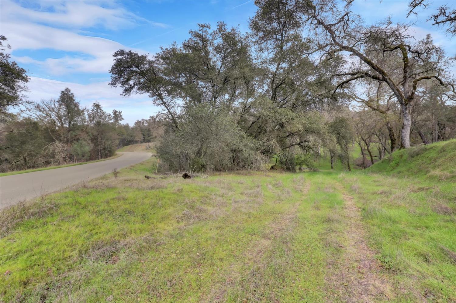 0 Scott Forbes Road Browns Valley, CA 95918 - Photo 32 of 78 a view of a field with trees in the background