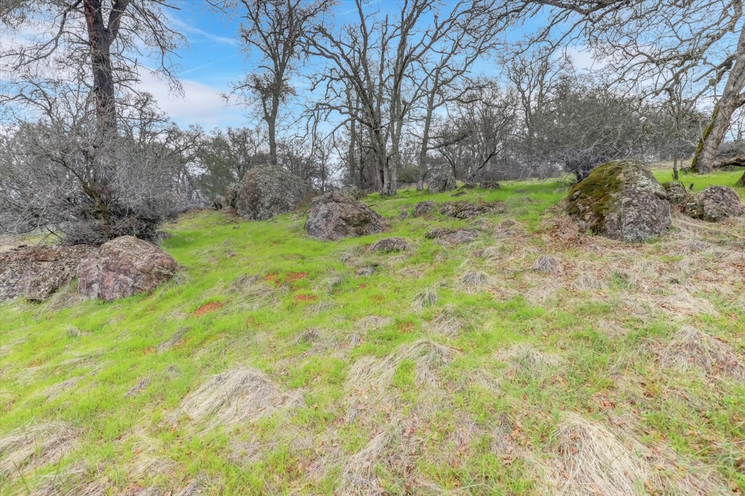 0 Scott Forbes Road Browns Valley, CA 95918 - Photo 36 of 78