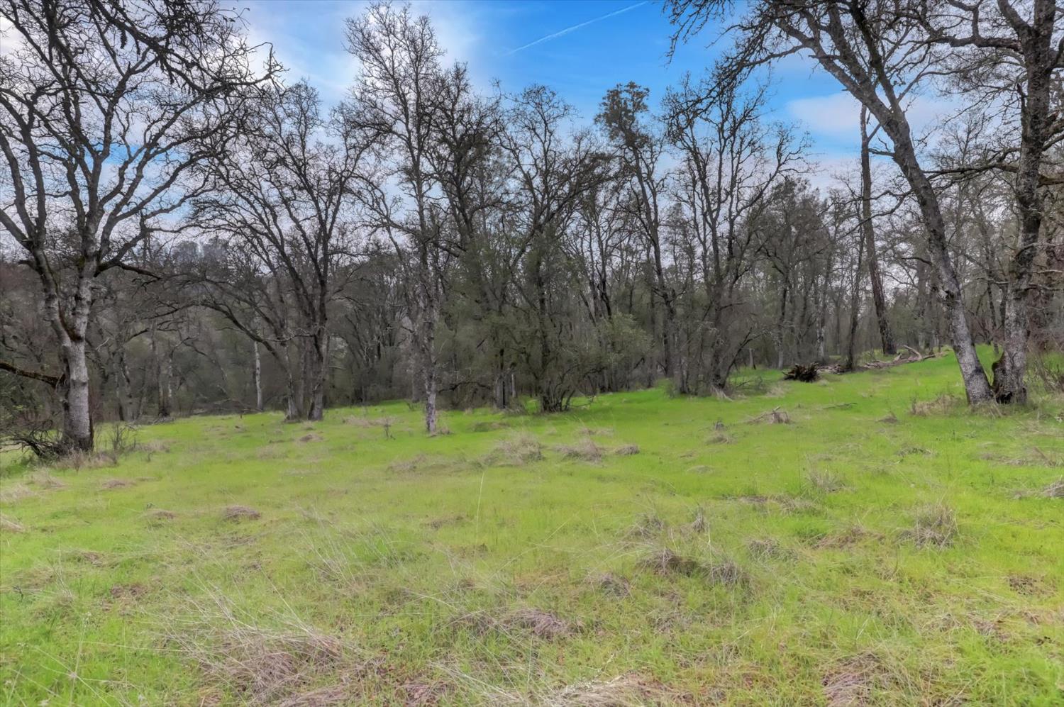 0 Scott Forbes Road Browns Valley, CA 95918 - Photo 37 of 78 a backyard of a house with lots of green space