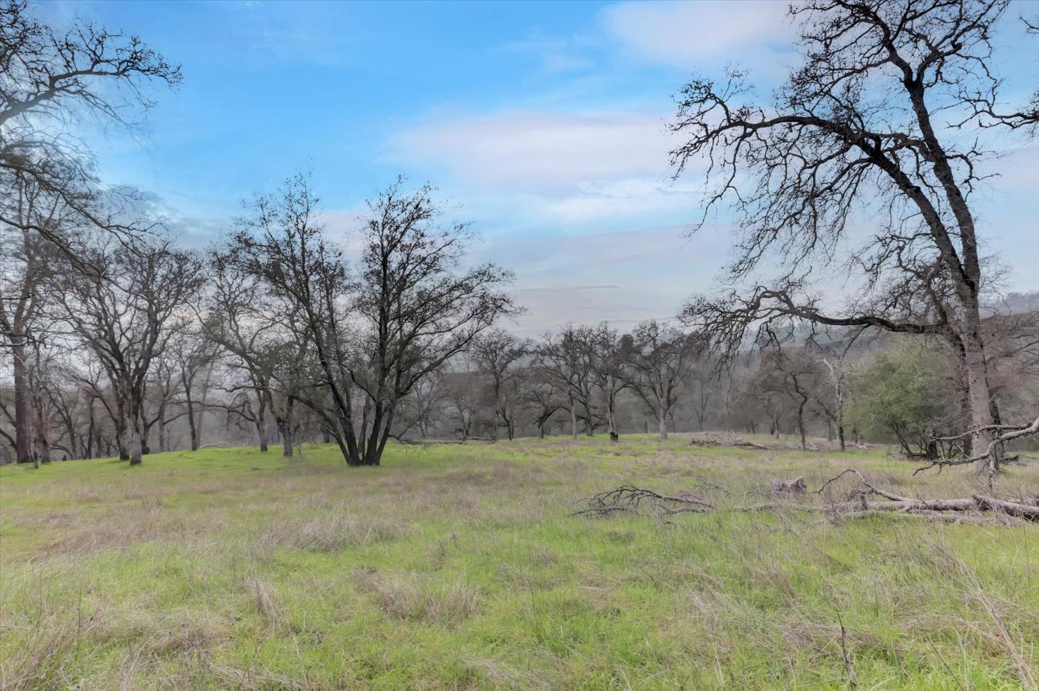0 Scott Forbes Road Browns Valley, CA 95918 - Photo 38 of 78 a view of a field with trees in the background
