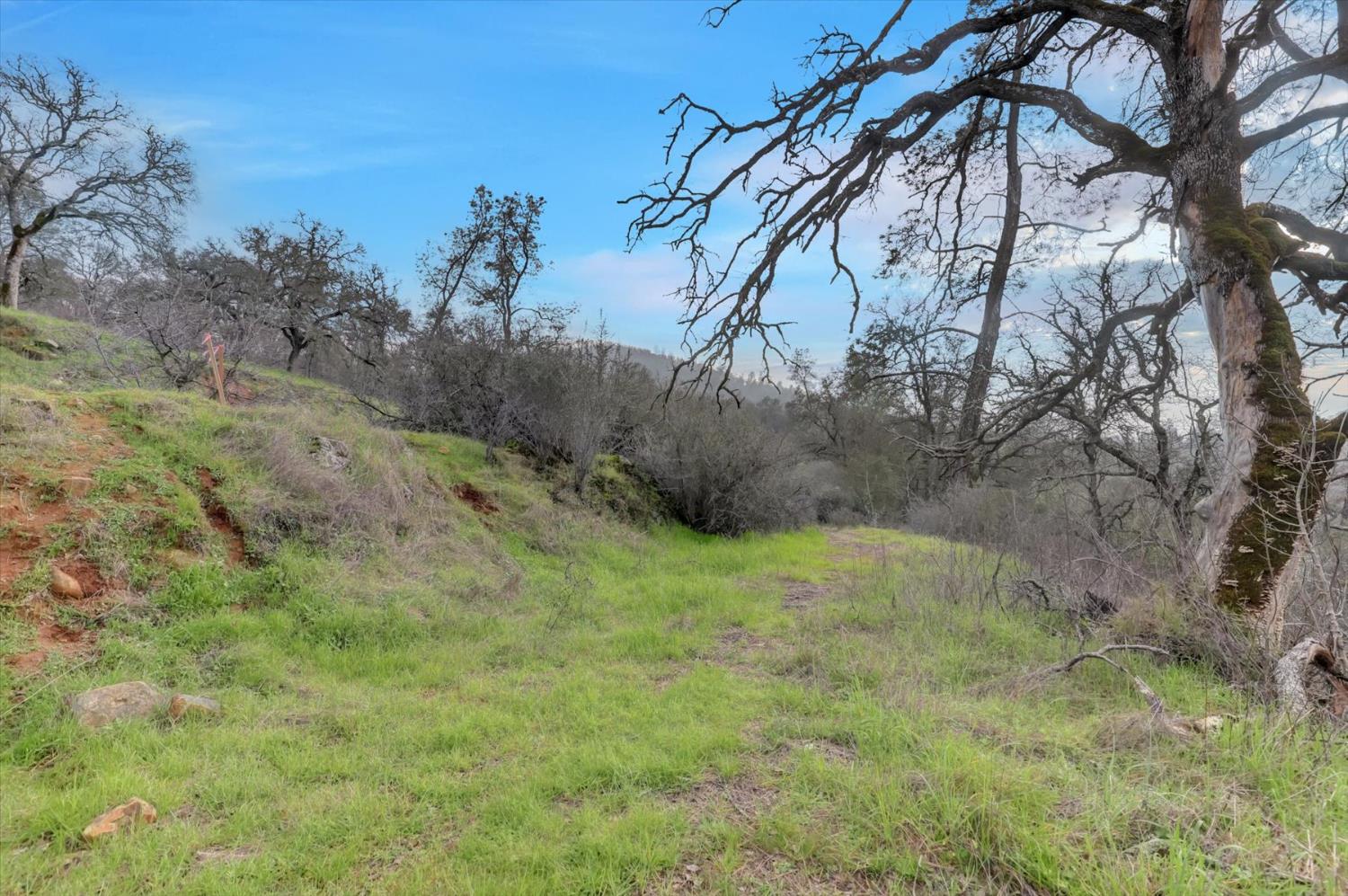 0 Scott Forbes Road Browns Valley, CA 95918 - Photo 39 of 78
