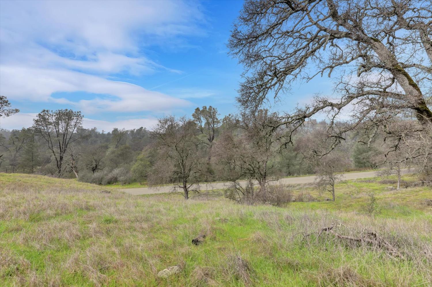 0 Scott Forbes Road Browns Valley, CA 95918 - Photo 41 of 78 a view of outdoor space with trees all around