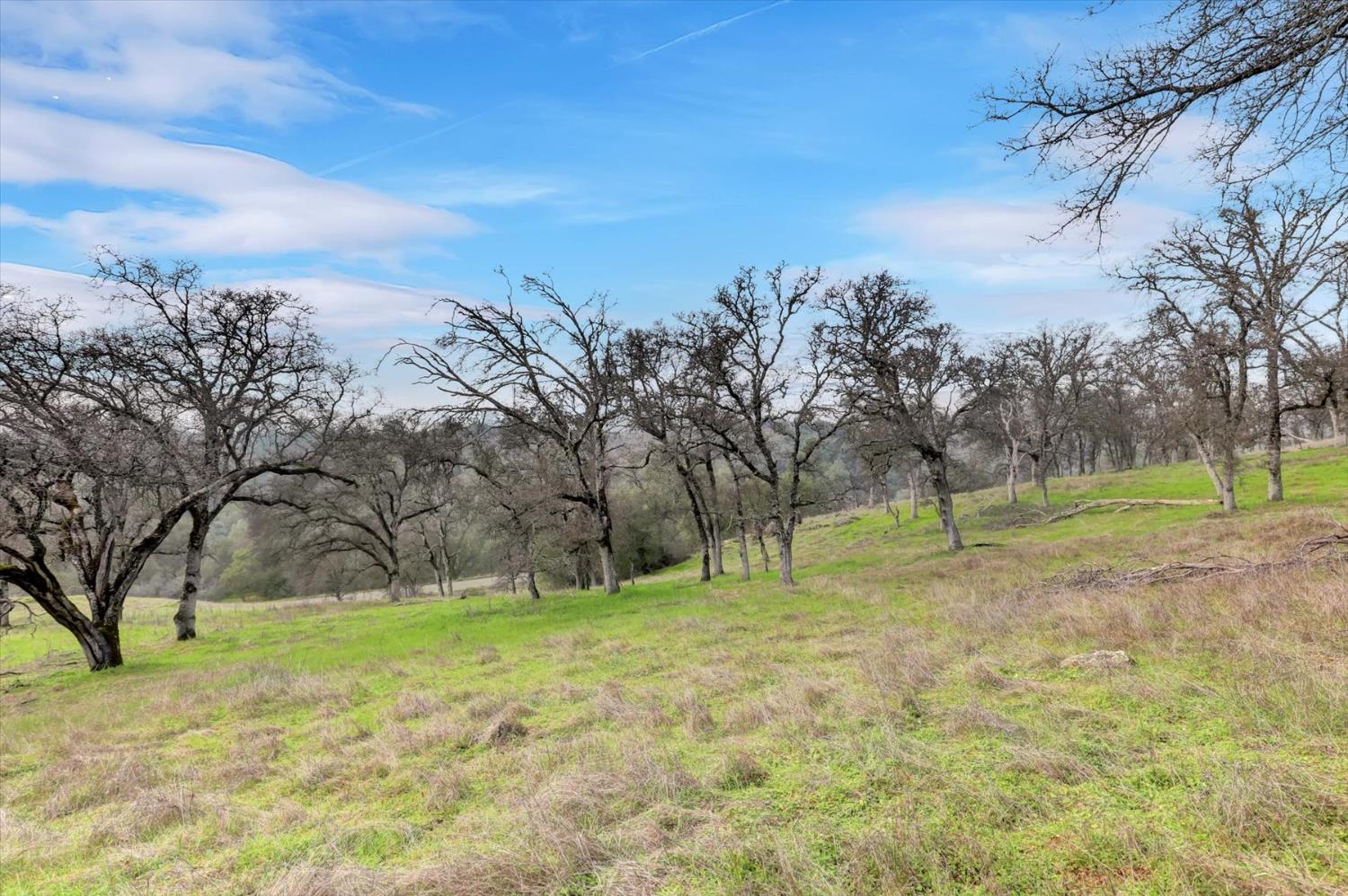 0 Scott Forbes Road Browns Valley, CA 95918 - Photo 42 of 78